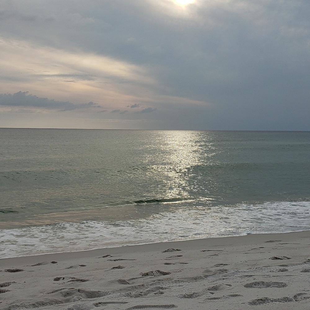 Meet your Posher, Nora